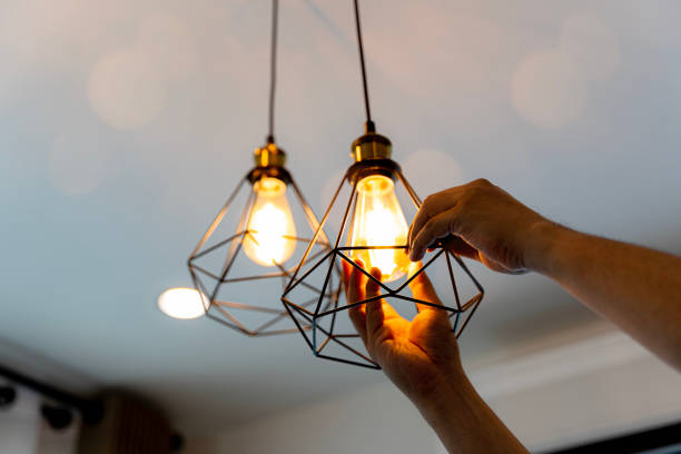 Best Electric Panel Repair  in Faribault, MN